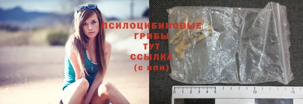 COCAINE Богородицк