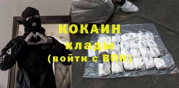 шишки Сосновка