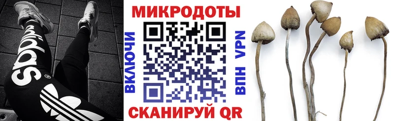 blacksprut как войти  Велиж  Галлюциногенные грибы GOLDEN TEACHER  закладки 